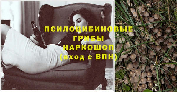 скорость Алзамай