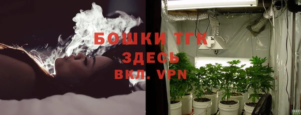 ПСИЛОЦИБИНОВЫЕ ГРИБЫ Арсеньев