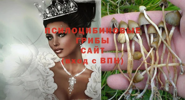 ПСИЛОЦИБИНОВЫЕ ГРИБЫ Арсеньев